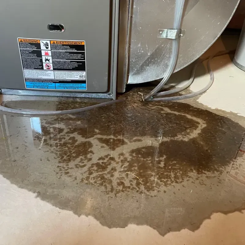 Appliance Leak Cleanup in Highfield-Cascade, MD